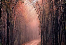 米兰体育官网：国际米兰vs乌迪内斯：恰尔汗奥卢、姆希塔良首发，洛伦佐-卢卡、阿蒂尔-阿塔.