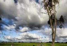 米兰体育官网：科技引领，中国体育产业走向下个十年2025-01-09.