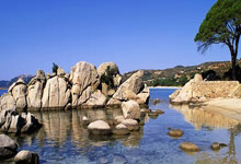 [澳网]名将悉数过关 女单32强尘埃落定.